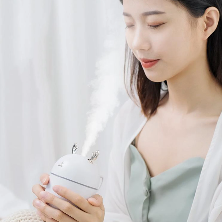 Lovely Agg Humidifier