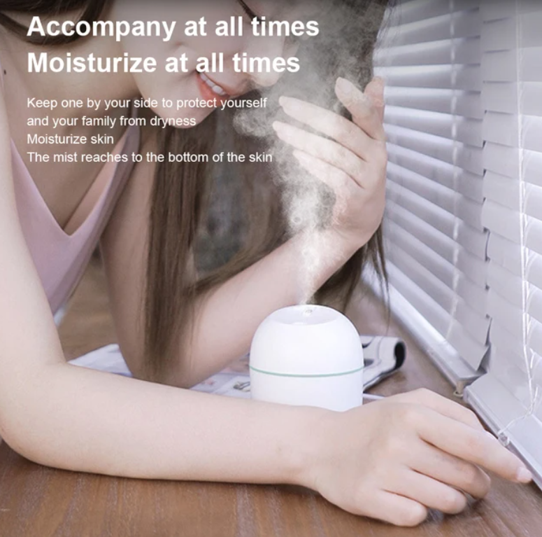 Lovely Agg Humidifier