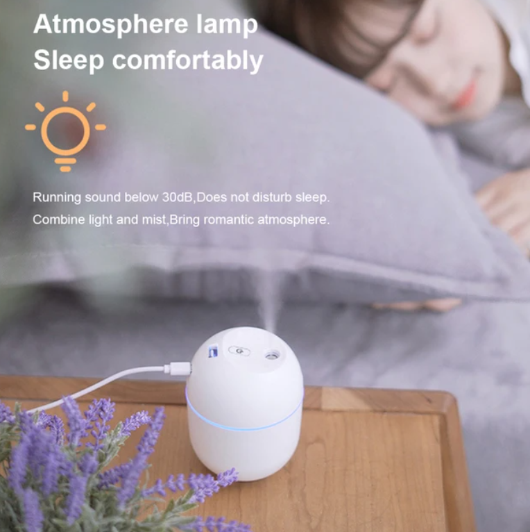 Lovely Agg Humidifier