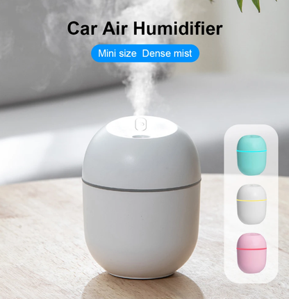 Lovely Agg Humidifier