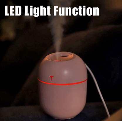 Lovely Agg Humidifier