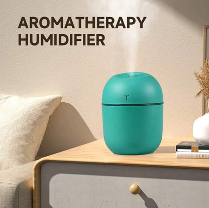 Lovely Agg Humidifier